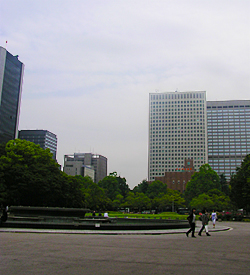写真１