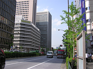写真１