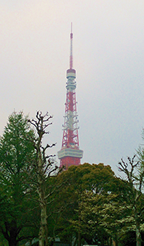 芝公園からみた東京タワー